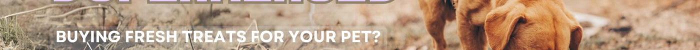 Pawsome Superheroes- A Feeding Strays Initiative