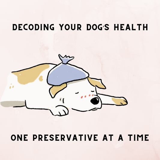 How permitted preservatives can be ruining your dog's life