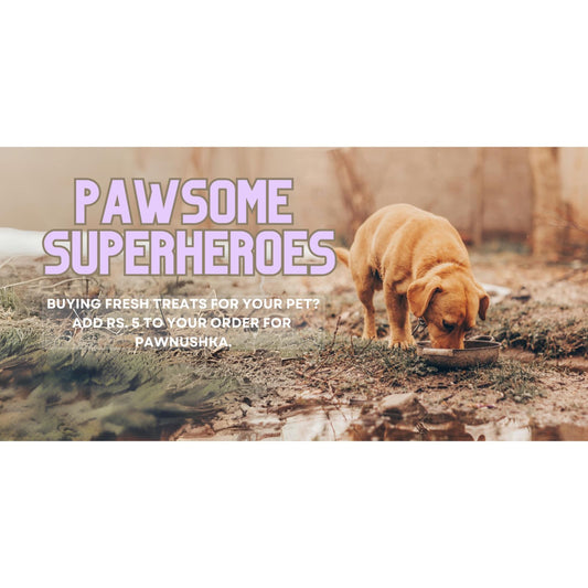 Pawsome Superheroes- A Feeding Strays Initiative