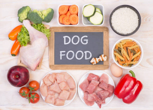 A Dog's Diet- All You Need To Know