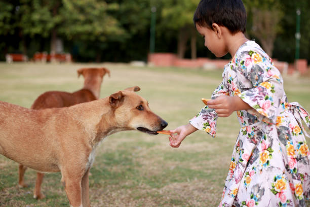 Elevate Your Dog's Lifestyle: Nurturing the Special Bond Through Better Food and Outings