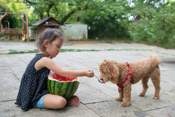 Top 10 Fruits for Dogs: Benefits & Potential Side Effects