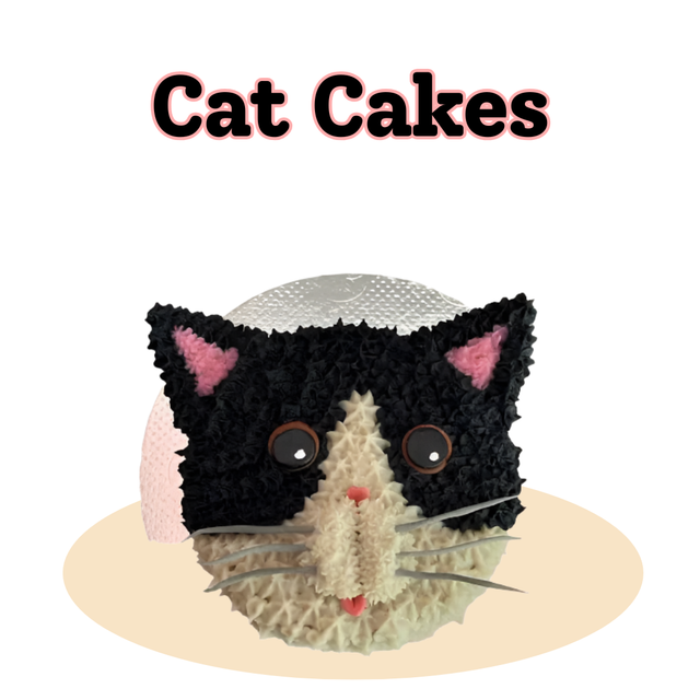 Cat Cakes