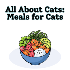 Collection image for: All About Cats: Cat Meals