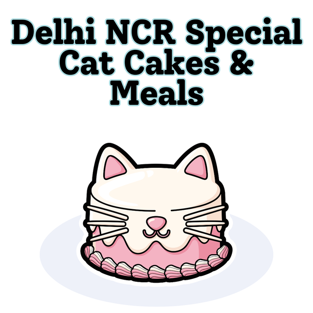 Fresh for Delhi NCR: Cat Cakes & Meals
