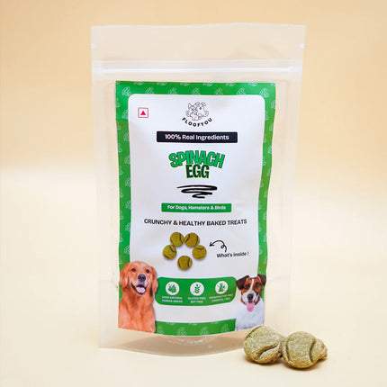 Spinach Egg Small Treats [FloofYou]