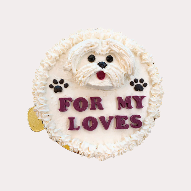 Maltipoo Small Face Cake [600g] [Paw Petisserie]