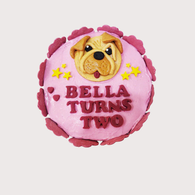 English Bulldog Small Face Cake [650g] [Paw Petisserie]