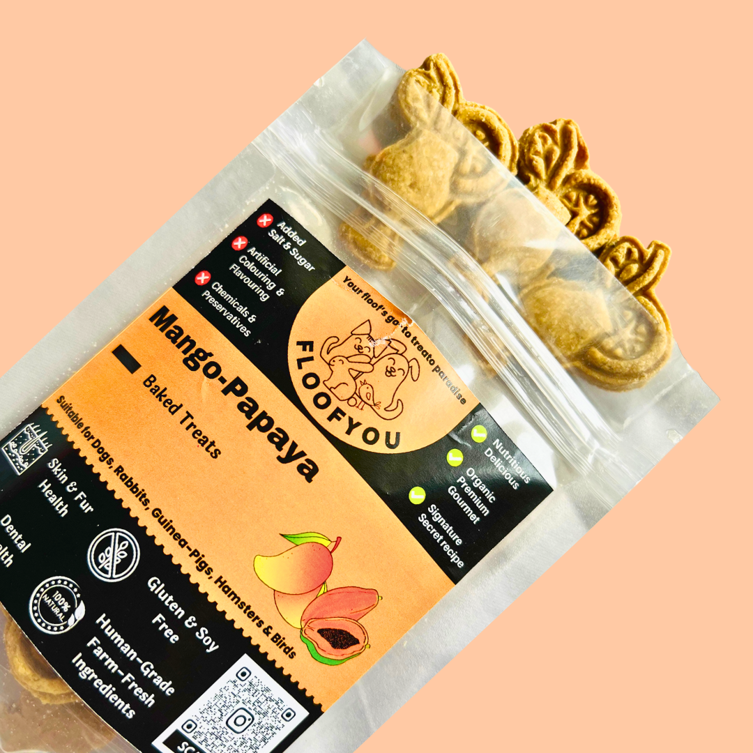 Mango Papaya Dog Treat [100g] [Floof You] - The Pet Belly