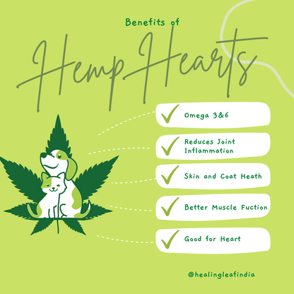 Hemp Hearts [100g] [Healing Leaf]