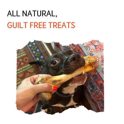 Dehydrated Pork Bone [Nuts Over Mutts]