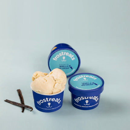 Snowy's Vanilla Ice Cream [125ml] [Frostreats by Zimero]