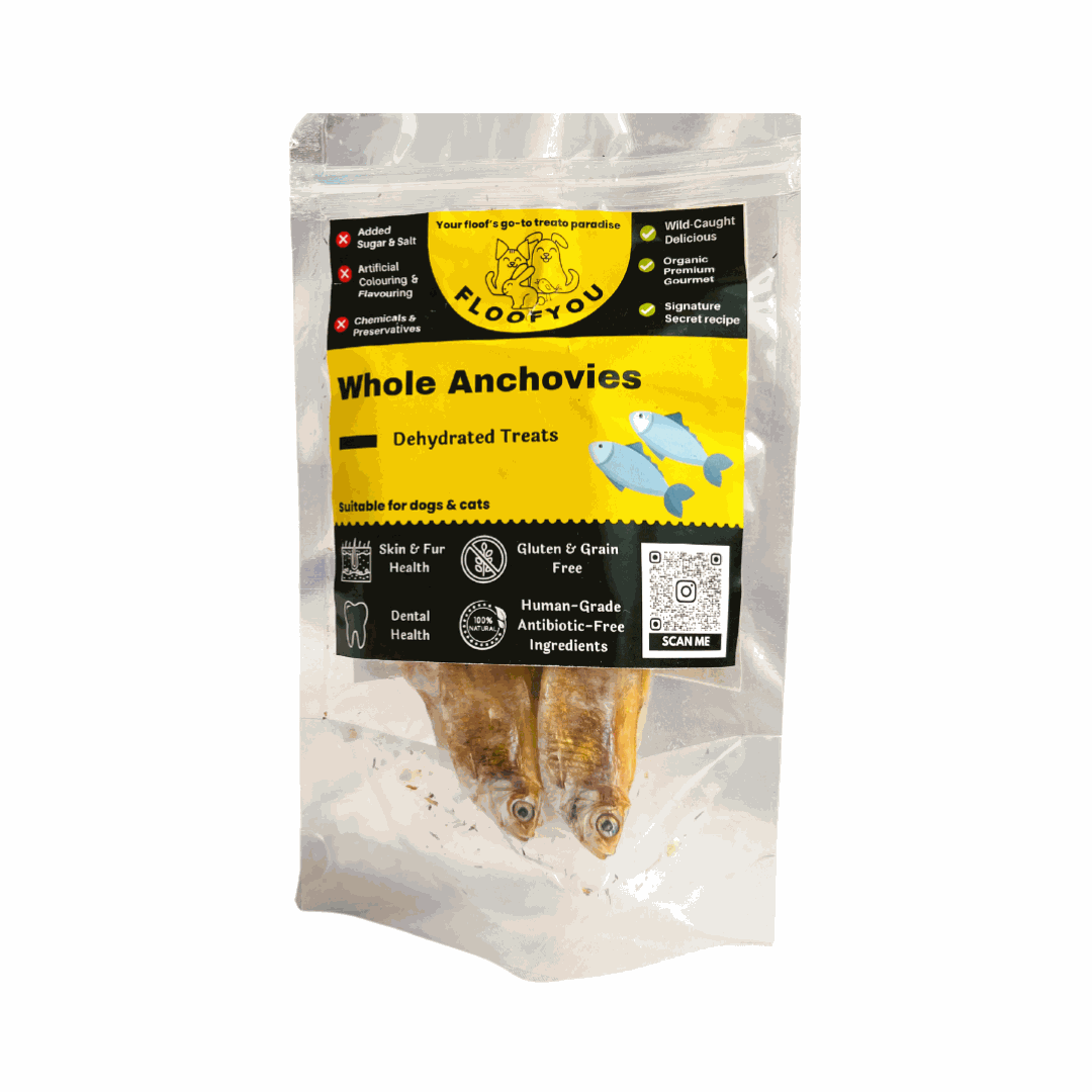 Anchovies whole Fish Jerky [100g] [Floof You]