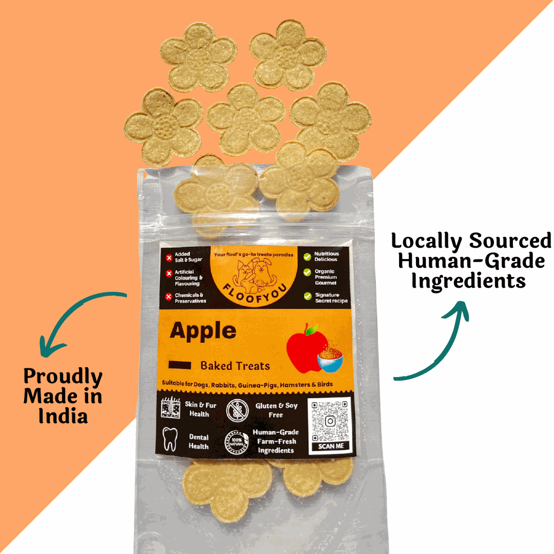 Apple Pure Veg Natural Dog Treat [100g] [Floof You]