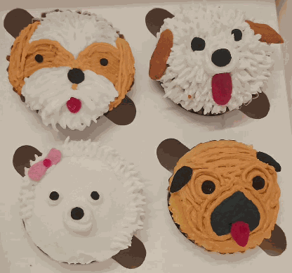 Assorted Muffins [1 Piece] [Puppychef]