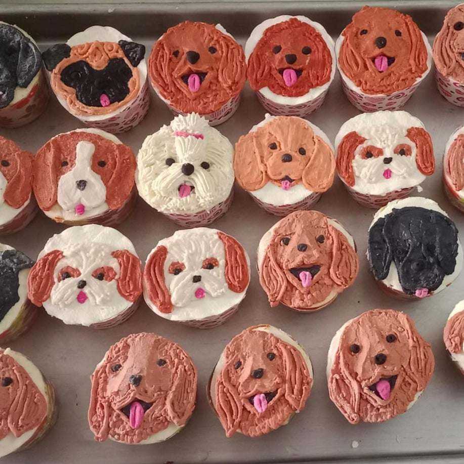 Assorted Muffins [1 Piece] [Puppychef]