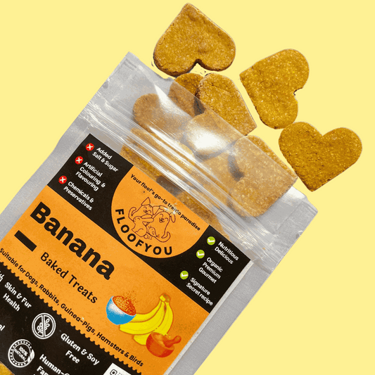 Banana Pure Veg Natural Dog Treat [Floof You]