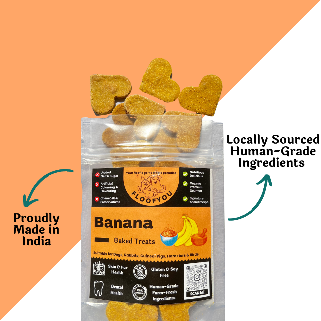 Banana Pure Veg Natural Healthy Treat For Small Animals (100g) [Floof You]