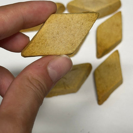 Chicken Barfi for Dogs (100g) [The Barkery by NV]