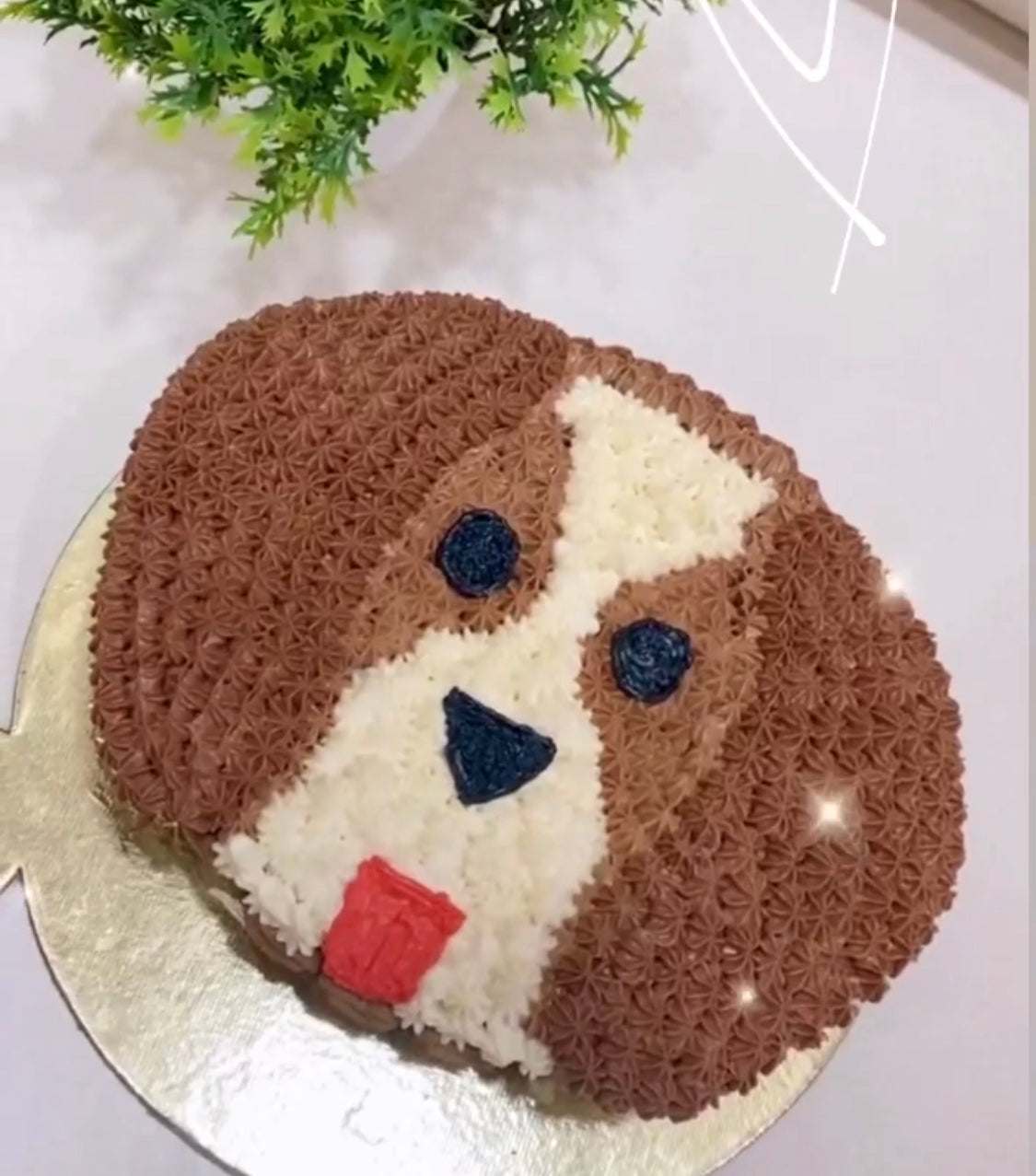 Beagle Face Mini Cake [Poochie's Pie]