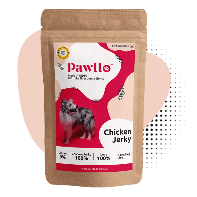 Chicken Jerky (100g) [Pawllo]