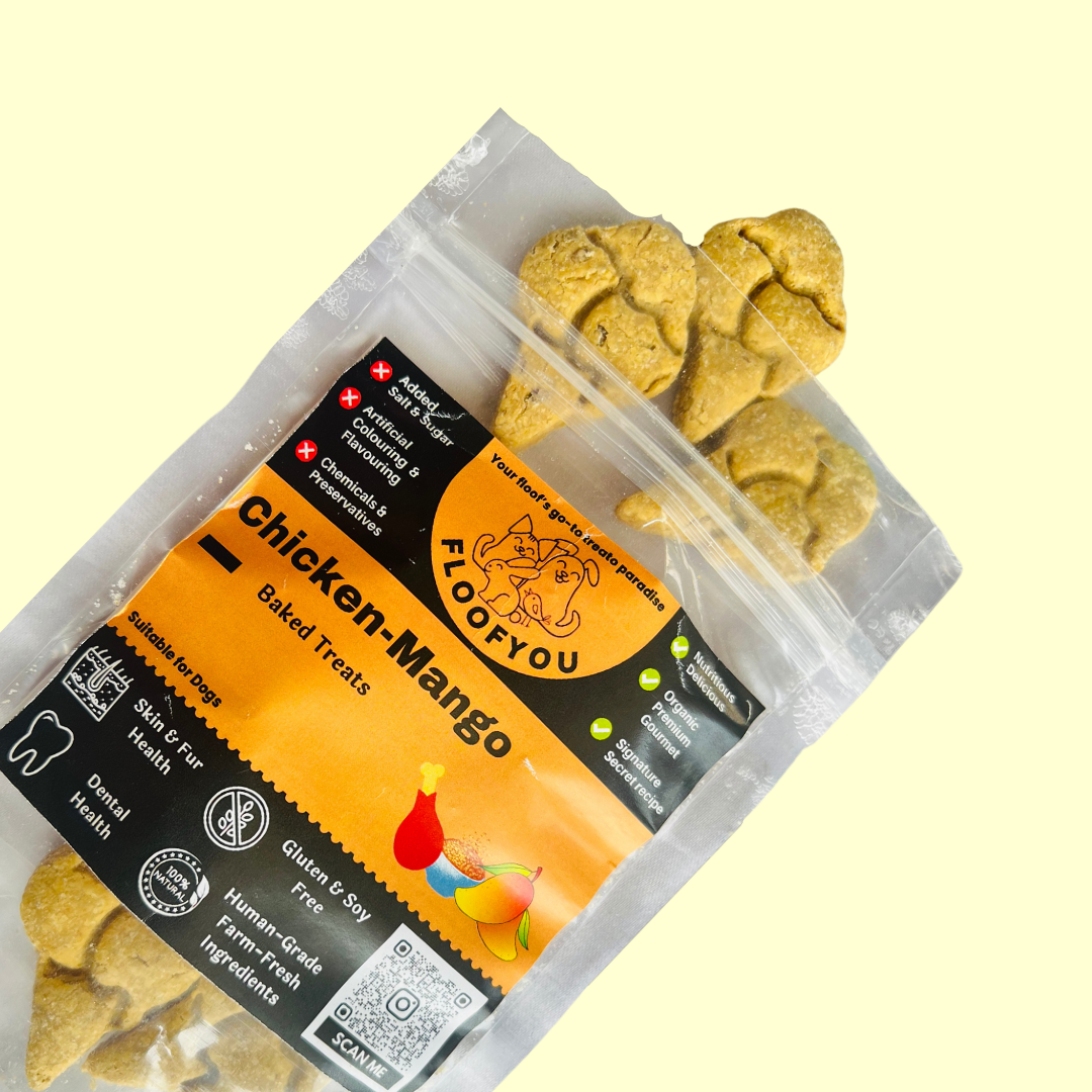 Chicken Mango Natural Dog Treat [100g] [Floof You]