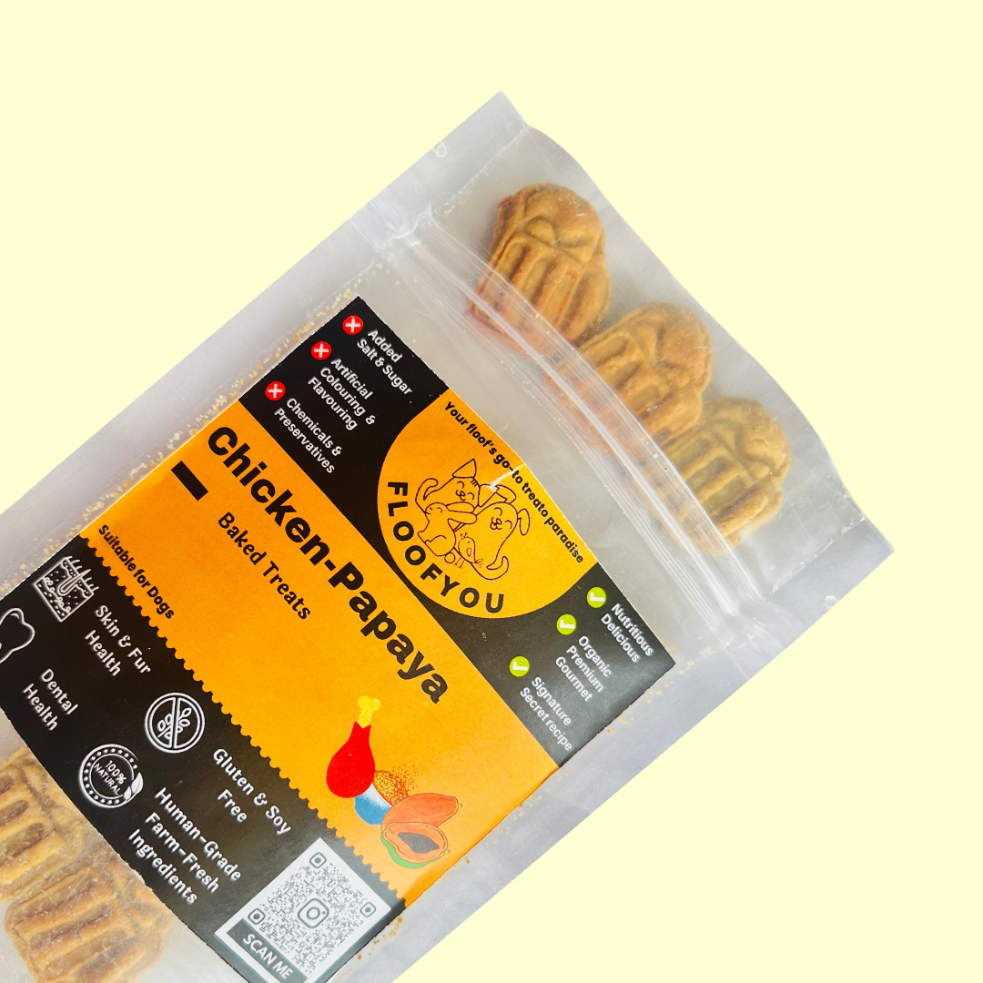 Chicken Papaya Natural Dog Treat [100g] [Floof You]