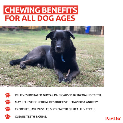Chicken Liver Bits (100g) [Pawllo]