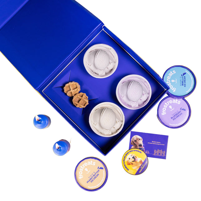 Ice Creams Diwali Gift Pack [Frostreats by Zimero]