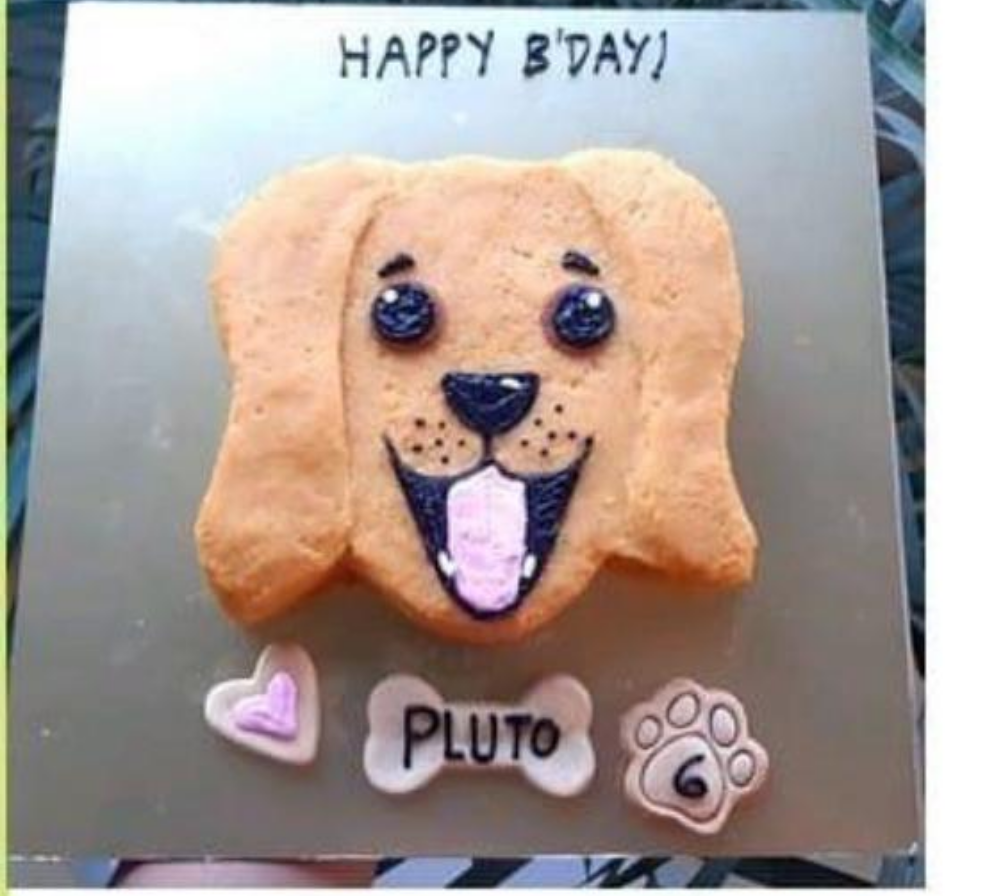 Custom face Dog Cake- Pune