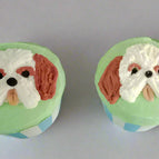 Carrot Chicken / Shih Tzu