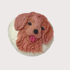 Carrot Chicken / Golden Retriever