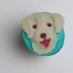 Carrot Chicken / Indie / White Lab