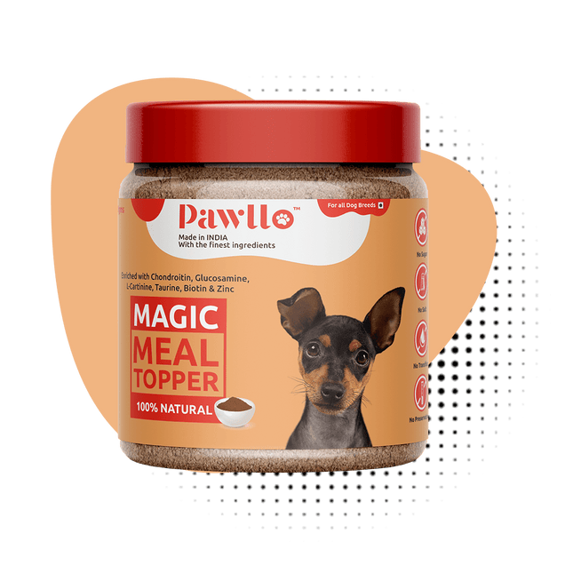 Magic Meal Topper (100g) [Pawllo]