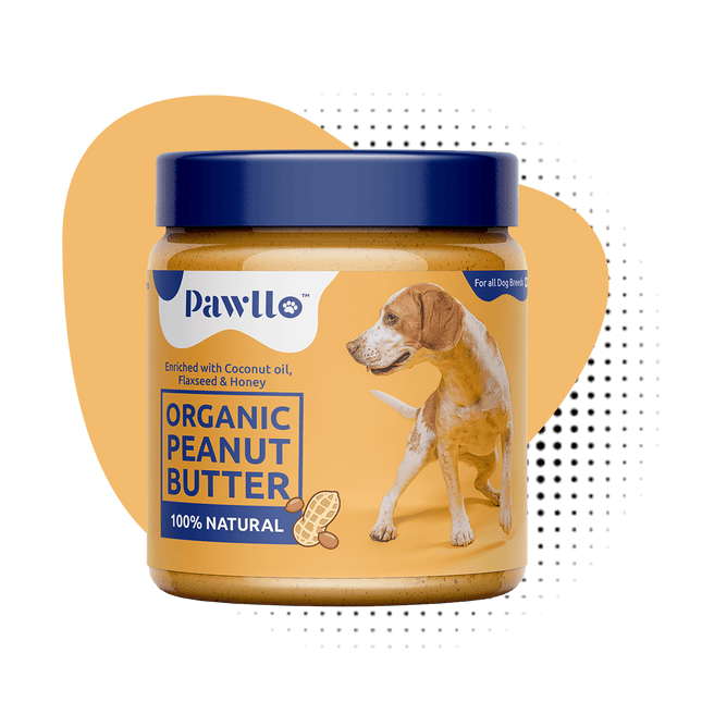 Peanut Butter with Flaxseeds (250g) [Pawllo]