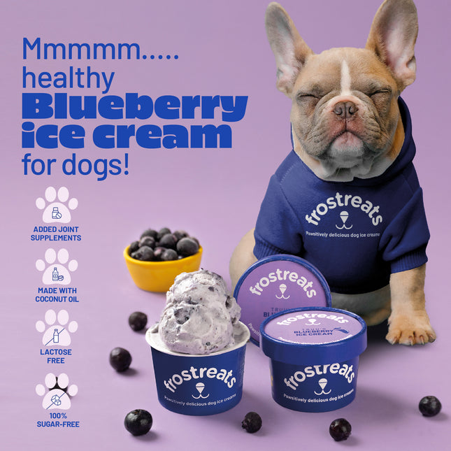 Truu's Blueberry Ice Cream for Dogs [125ml] [Frostreats by Zimero]