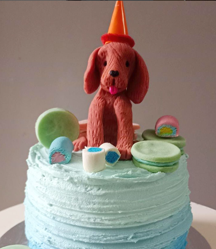 Designer Dog Cake with 3D edible doll Puppychef