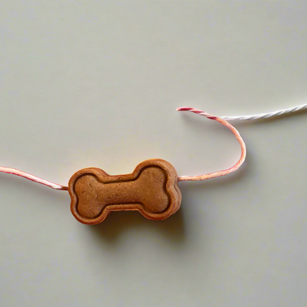 Edible Rakhi for Dogs [Wooftreats]