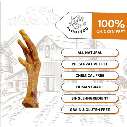 Chicken Feet Chews [FloofYou]