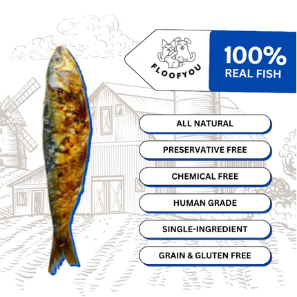Sardine Fish Chews [FloofYou]