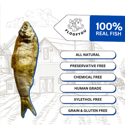 Anchovies Fish (Whole) Jerky [FloofYou]