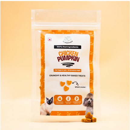 Chicken Pumpkin Small Treats [FloofYou]
