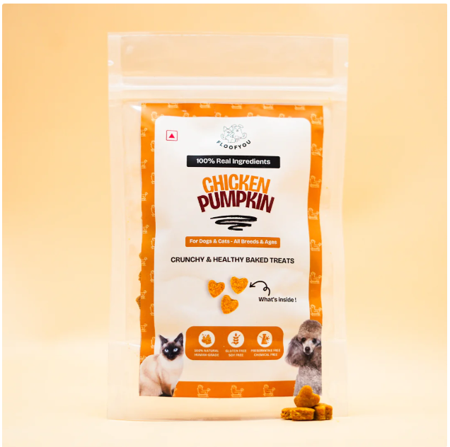 Chicken Pumpkin Small Treats [FloofYou]