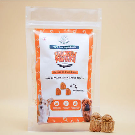 Chicken Papaya Dog Biscuits [FloofYou]