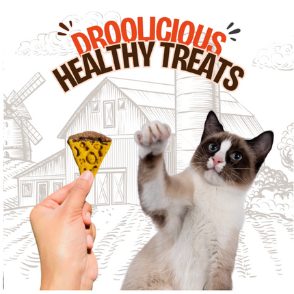 Mini Chicken "Pawzza" Treat [FloofYou]