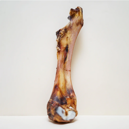 Buffalo Marrow Bone Chew (Regular) [FloofYou]