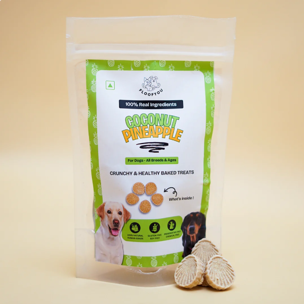 Coconut Pineapple Vegetarian Dog Treat [FloofYou]