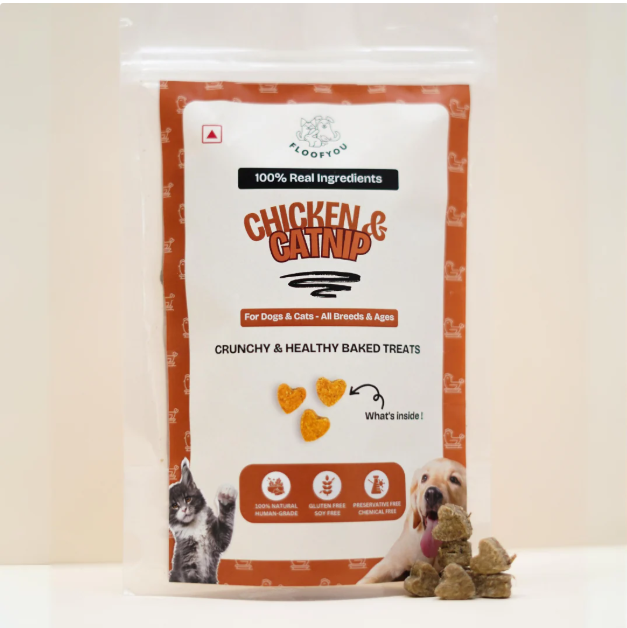 Chicken & Catnip Small Treats for Training [FloofYou]