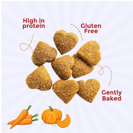 Vegan Treats (Carrot & Pumpkin Bites) (100g) [Furrmate]
