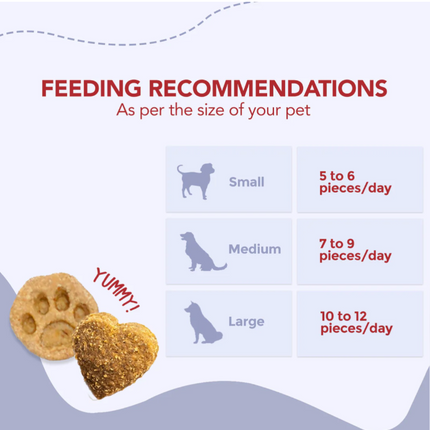 Vegan Treats (Carrot & Pumpkin Bites) (100g) [Furrmate]